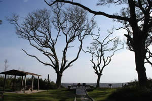 picnic shelter at big talbot island state park florida