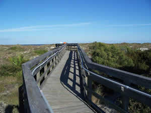 boardwalk at little talbot island state park