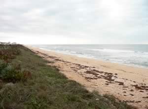 Beach at jungle hut park near palm coast fl