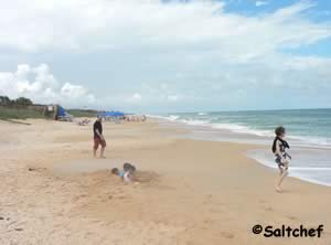 beach at old salt road park flagler county