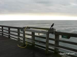 cleaning table at flagler pier