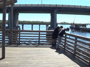 williams park fishing pier