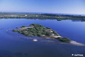 pelican island from the air