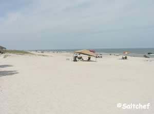 north view of beach at main beach park