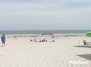 south view at main beach park fernandina beach florida