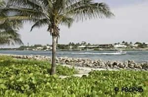 surf fish at jupiter beach park in fl