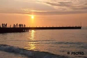 ocean inlet park jetty fishing