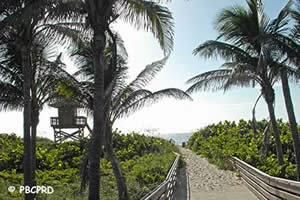 boardwalk at ocean reef park