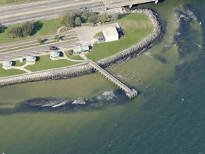 gulf breze wayside park fishing pier