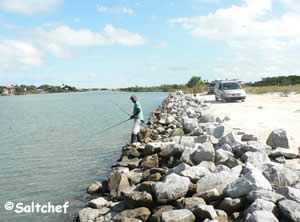 fishing shoreline at helen mellon schmidt park