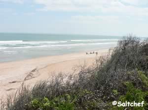 beach view at north beach park