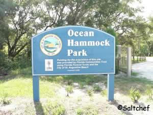 ocean hammock park st augustine beach