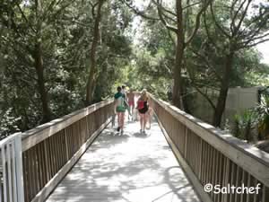 walkway to beach at ocean hammock park st augustine beach