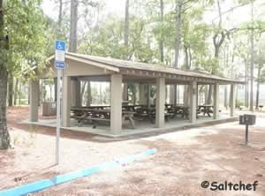 Picnic pavilion at Faver Dykes State Park pavilion at faver dykes state park