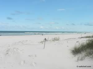 surf fishing at Fort Matanzas