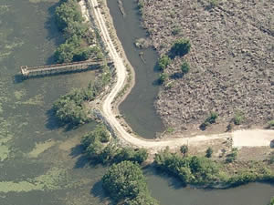 dj wilcox fishing pier fort pierce, fl
