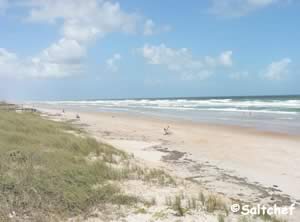 beach at michael crotty bicentennial park