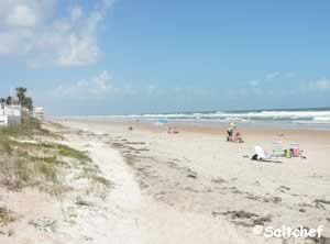 beach at tom renick park ormond by the sea