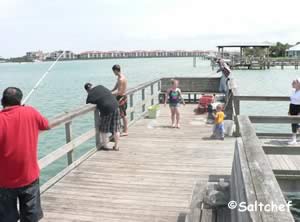 fishing pier new smyrna beach fl