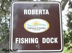 roberta drive fishing dock ormond