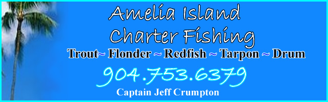 amelia island fishing charters