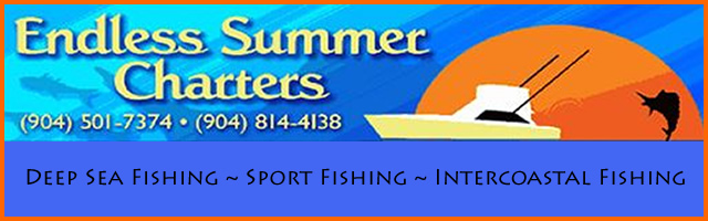 endless summer fishing charters