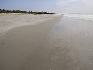 view of beach at edisto beach state park