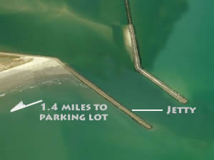 murrells inlet jetty fishing