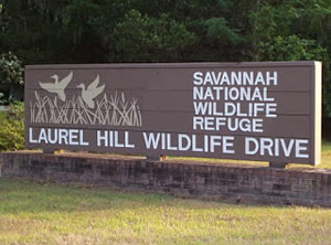 laurel hill wildlife drive sign