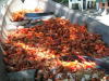 cooked crawfish