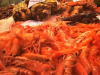 shrimp for sale