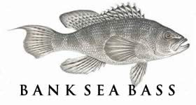 bank sea bass