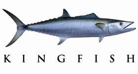kingfish