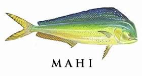 mahi mahi